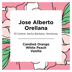 Jose Alberto Orellana | Honduras | Washed