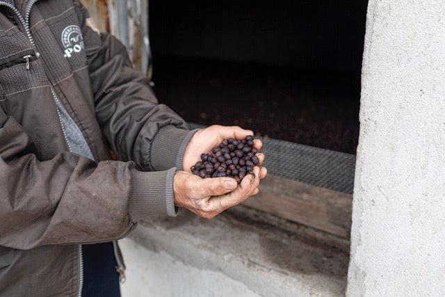 Ximeng | China | Double Anaerobic Natural