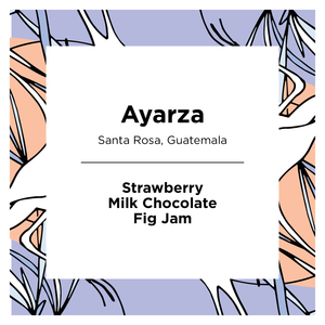 Ayarza | Santa Rosa | Guatemala