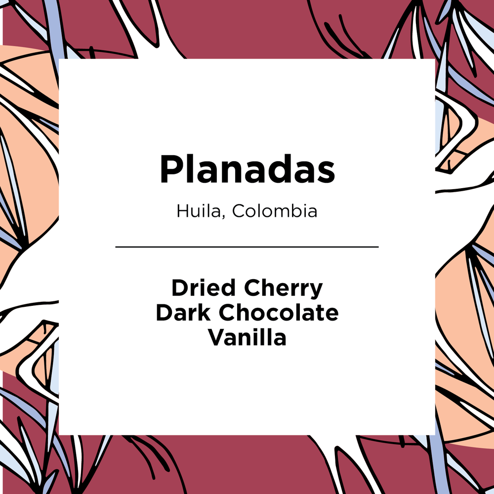 Planadas | Colombia | Decaf