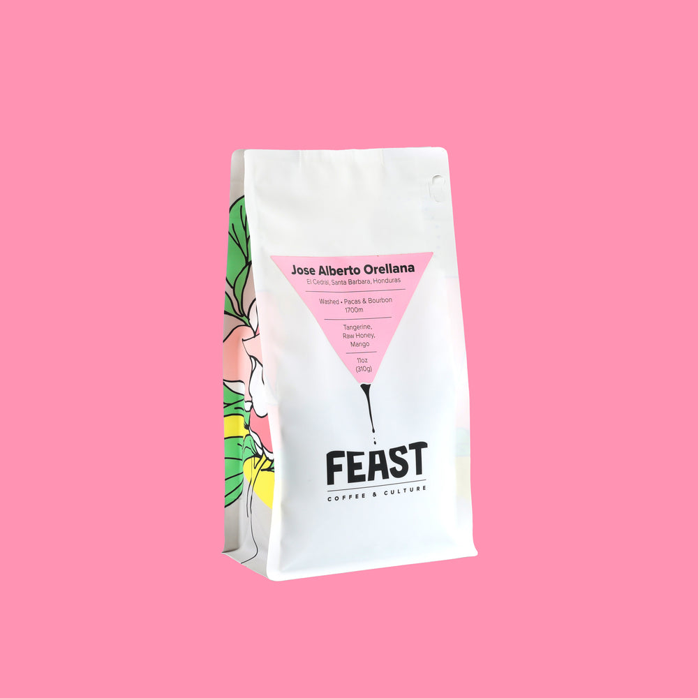 Jose Alberto Orellana | Honduras | Washed – Feast Coffee & Culture