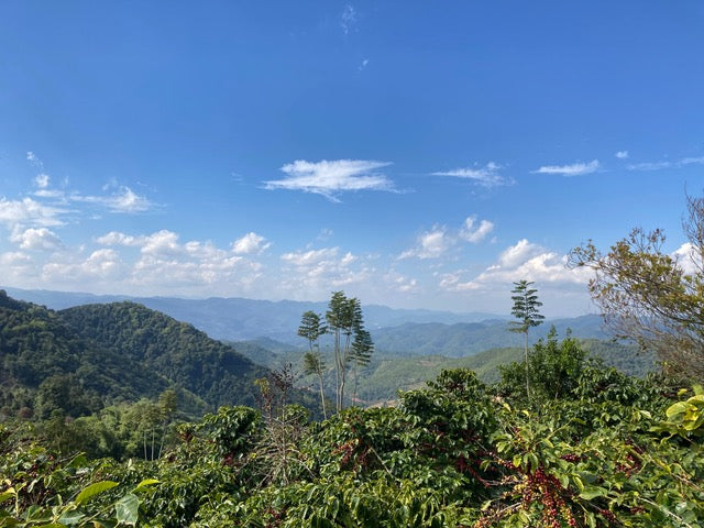 Ximeng | China | Double Anaerobic Natural