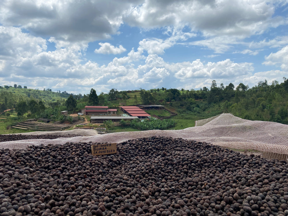 Ninga Hill | Burundi | Natural