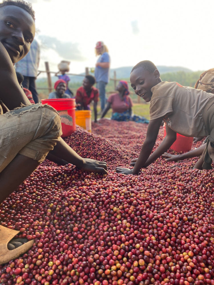 Bumba Hill | Burundi | Honey