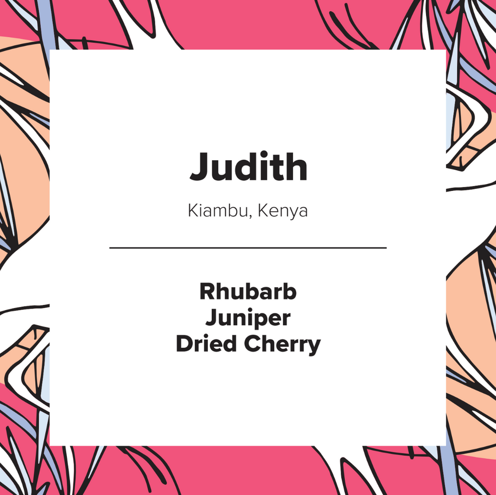 Judith | Kenya | Natural