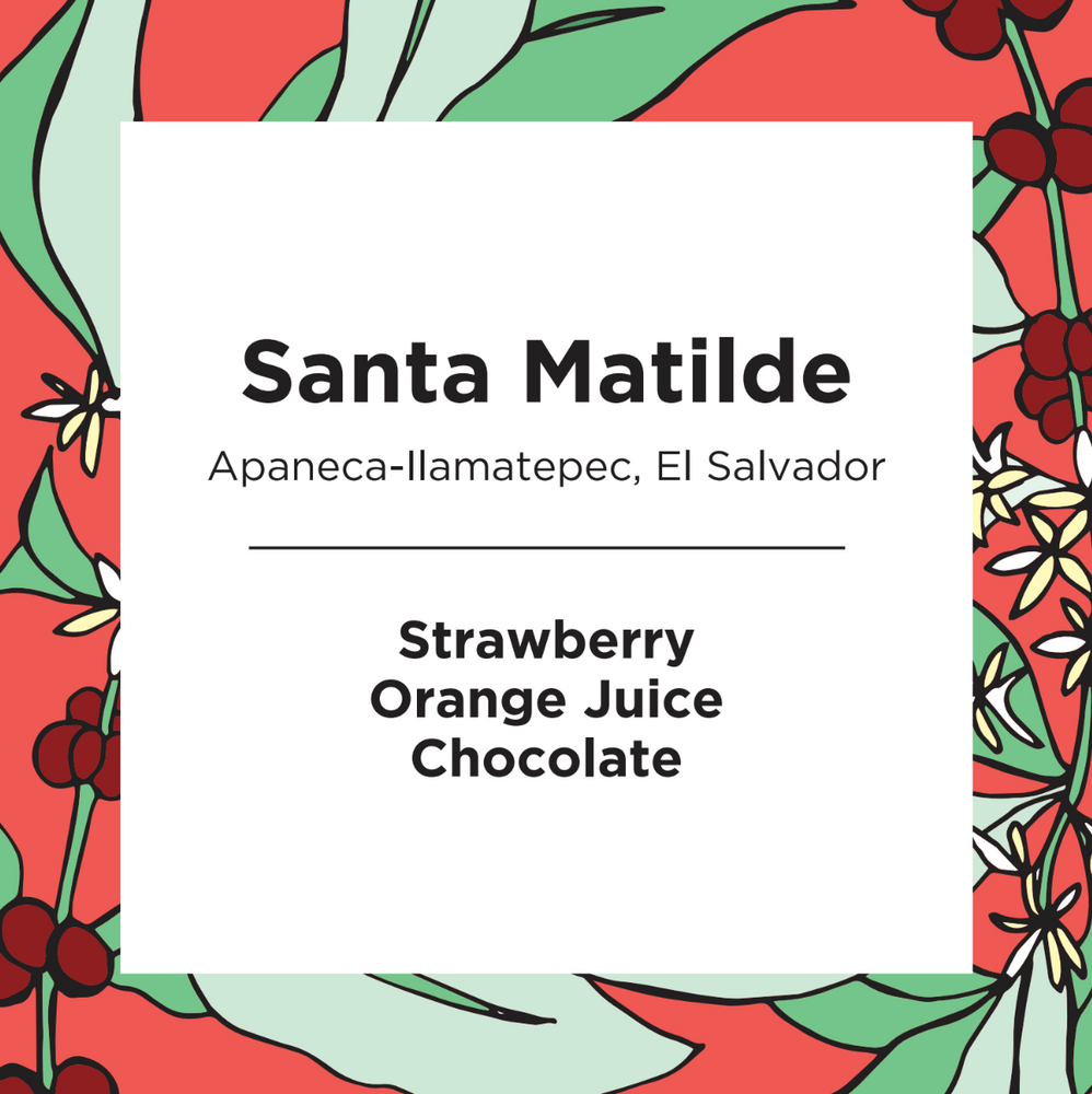 Santa Matilde | El Salvador | Natural