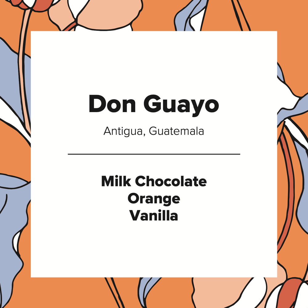 Don Guayo | Guatemala | Washed