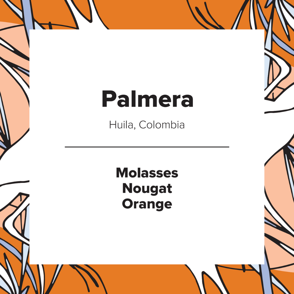 Palmera | Colombia | Washed