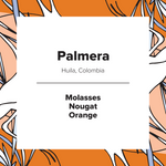 Palmera | Colombia | Washed
