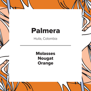 Palmera | Colombia | Washed