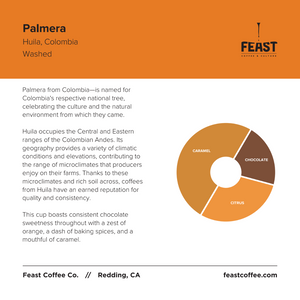 Palmera | Colombia | Washed