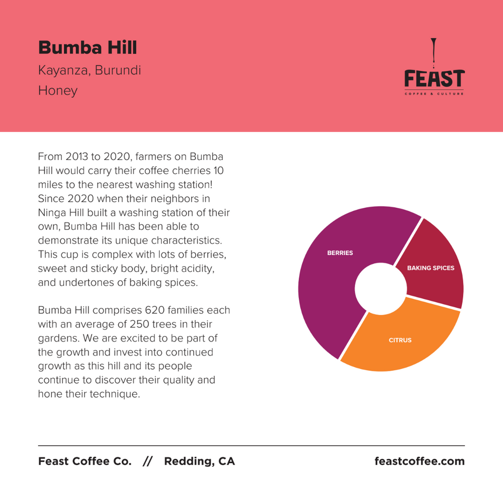 Bumba Hill | Burundi | Honey