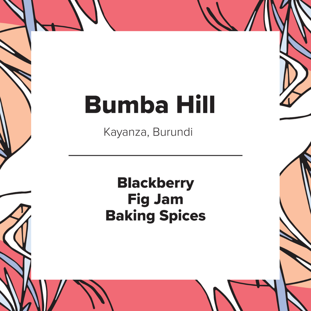 Bumba Hill | Burundi | Honey