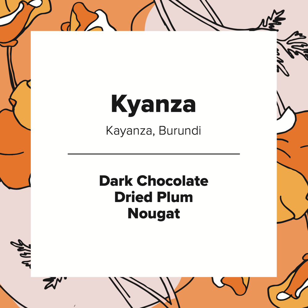 Kayanza Decaf | Burundi
