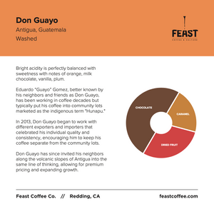 Don Guayo | Guatemala | Washed