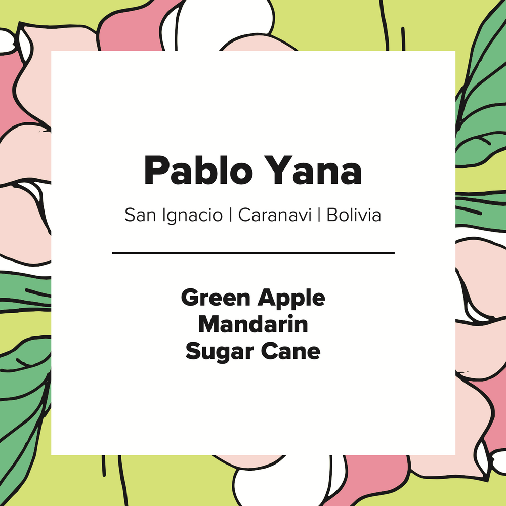 Pablo Yana | Bolivia | Washed