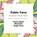 Pablo Yana | Bolivia | Washed