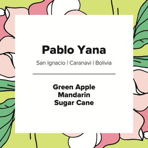 Pablo Yana | Bolivia | Washed