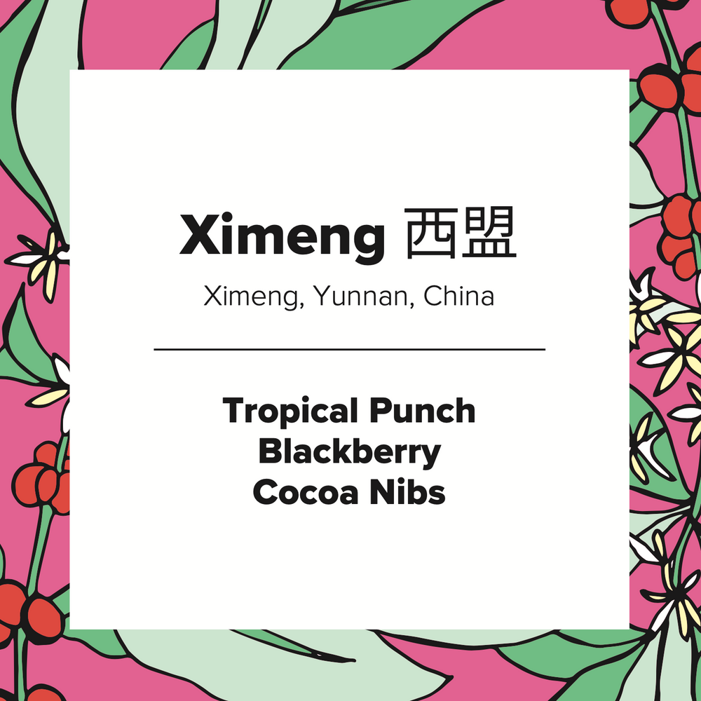 Ximeng | China | Double Anaerobic Natural