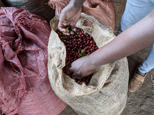 Koke | Ethiopia | Honey