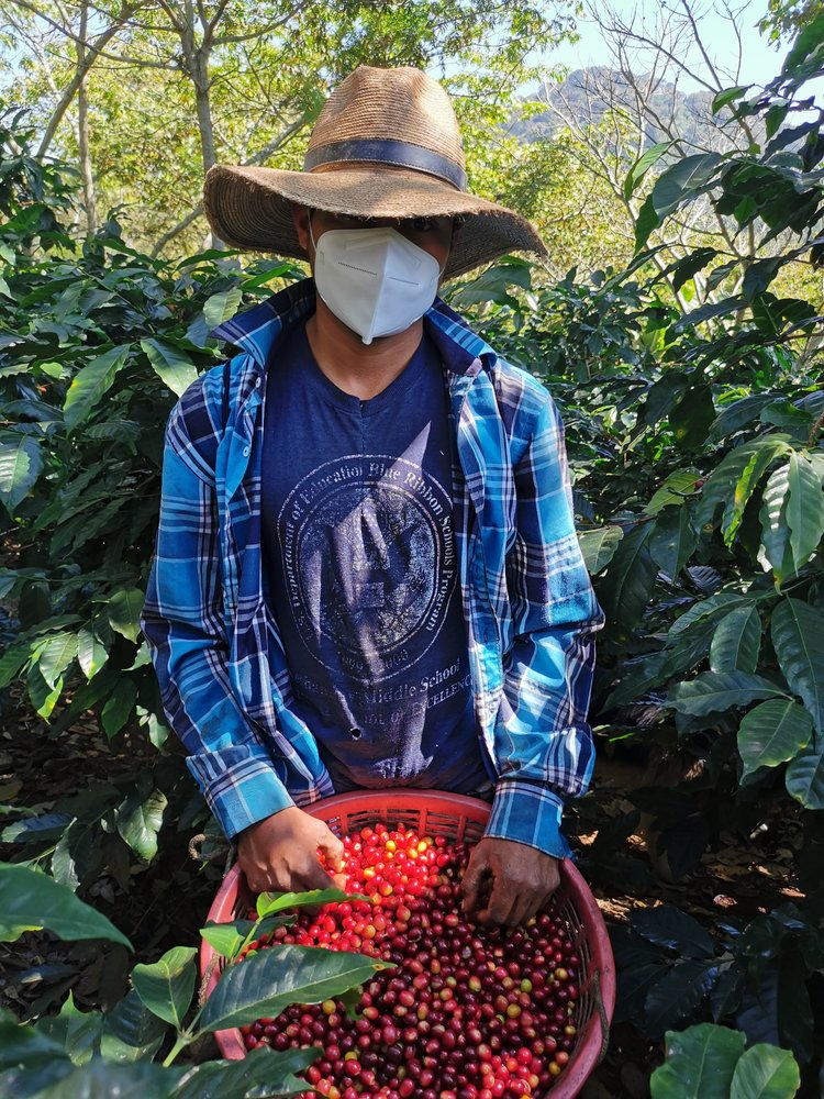 Ayarza | Santa Rosa | Guatemala